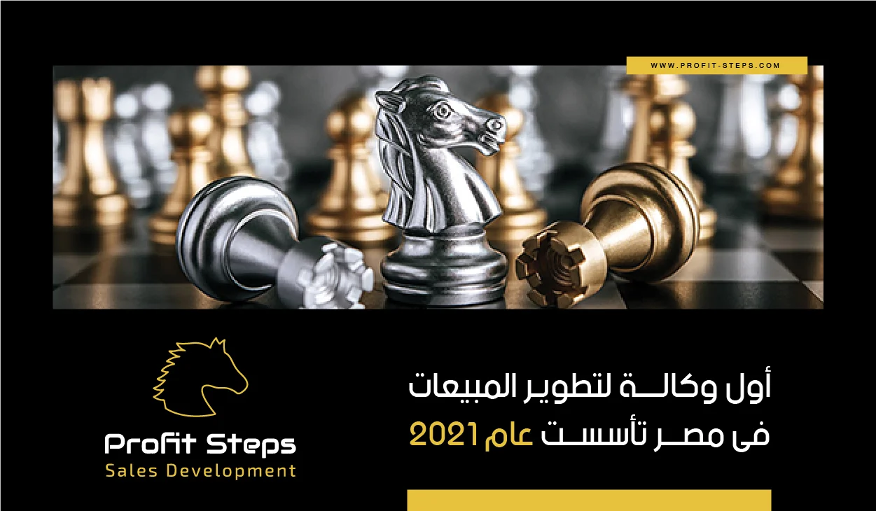 Profit Steps - Strategic B2B Sales